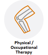Physical / Occupational Therapy